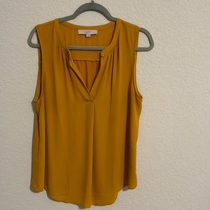 Gorgeous gold fall top.